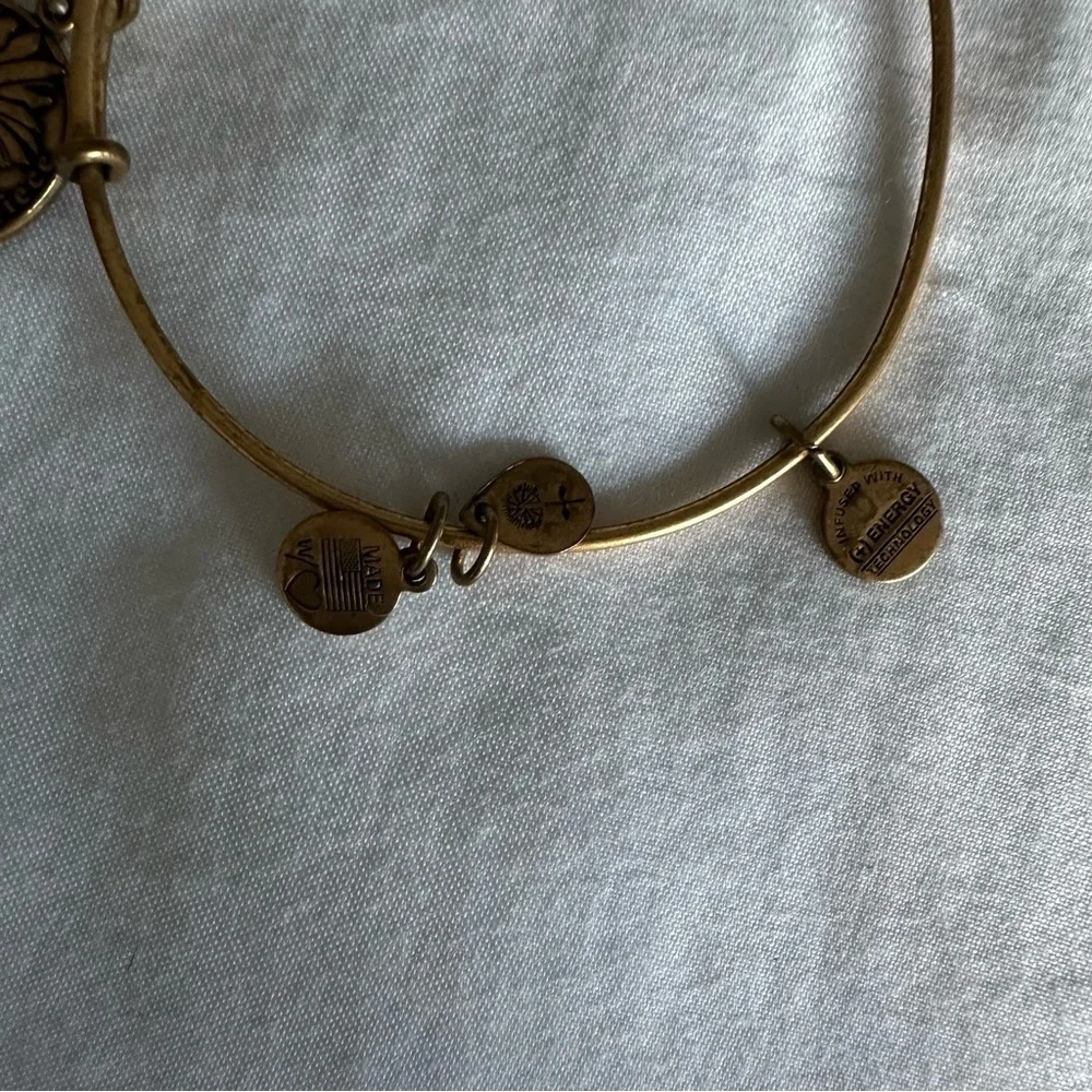 Alex and Ani gold niece